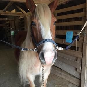 Meet your Posher, Vickie